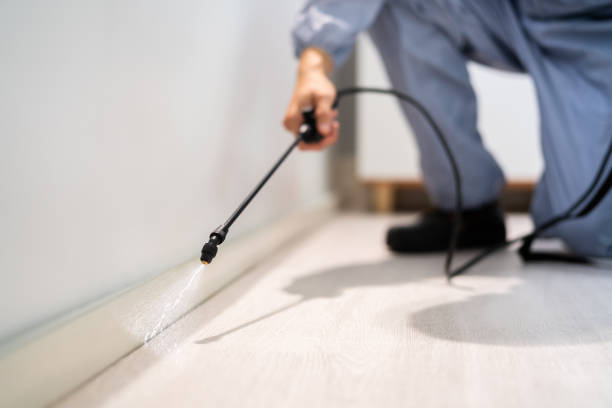 Professional exterminator conducting IPM assessment in Casas Adobes